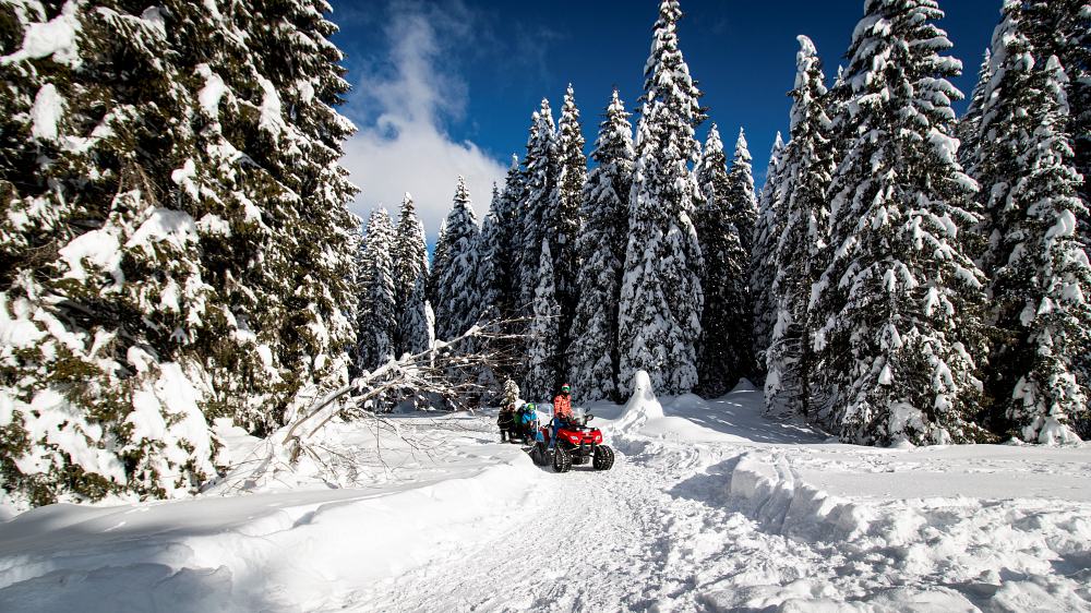 slittabus quad – palanoservizi – annadallavait